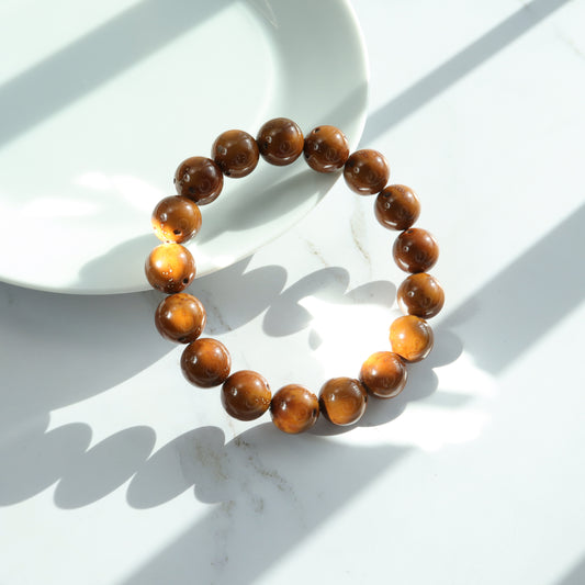 Brown Syagrus Romanzoffiana Bracelet